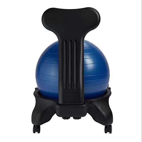 Exercise Ball Chair