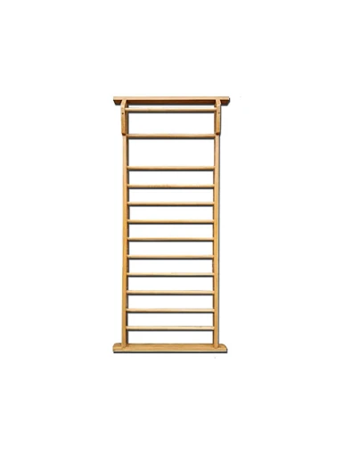 Single Rehabilitation Wall Bars