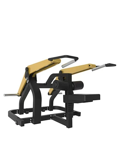 Seated Dip Machine