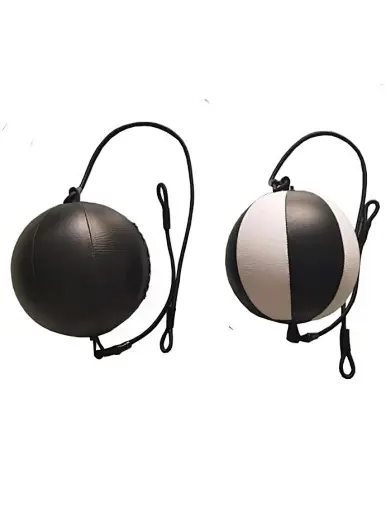 Round Boxing Speed Ball | Union Max Fitness