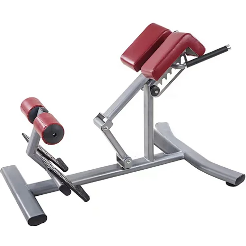 Hyperextension Roman Chair