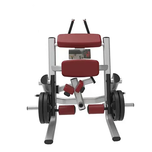Kneeling Leg Curl