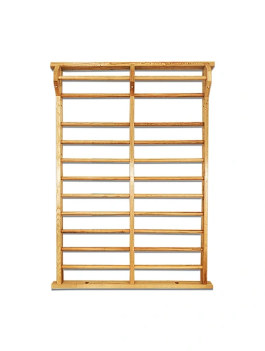 Double Rehabilitation Wall Bars