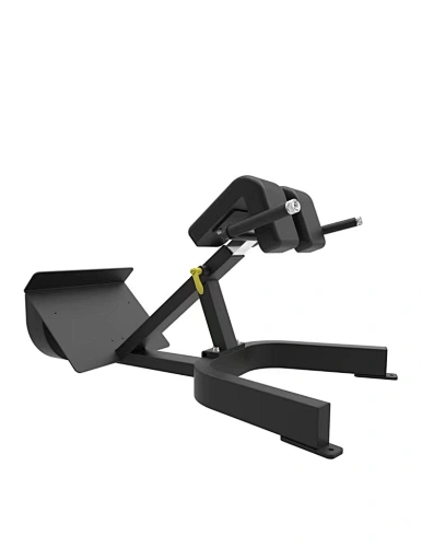Roman Chair | Union Max Fitness