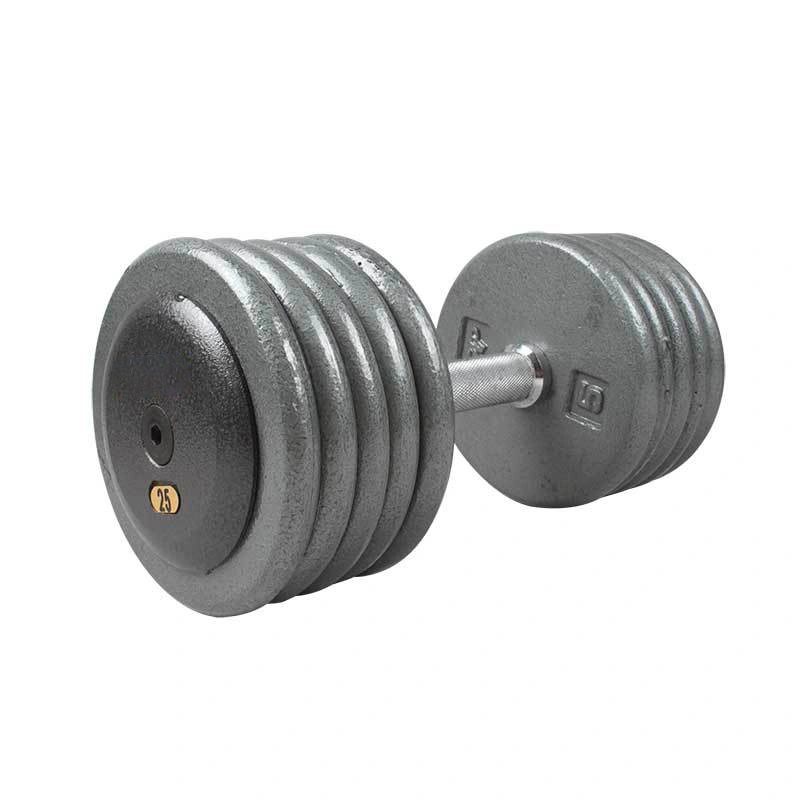 Cast Iron Fixed Painted Dumbbell