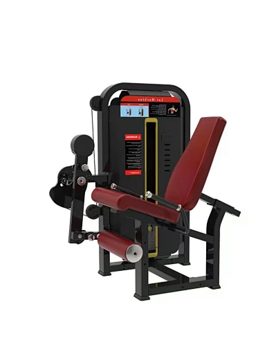 Leg Extension Machine