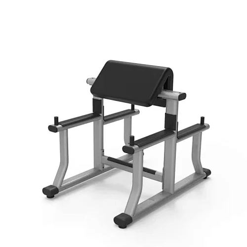 Standing Preacher Curl