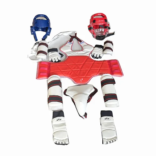 Taekwondo Protective Gear Set