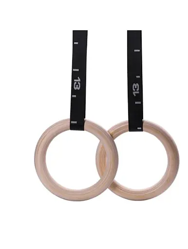 Gymnastic Rings