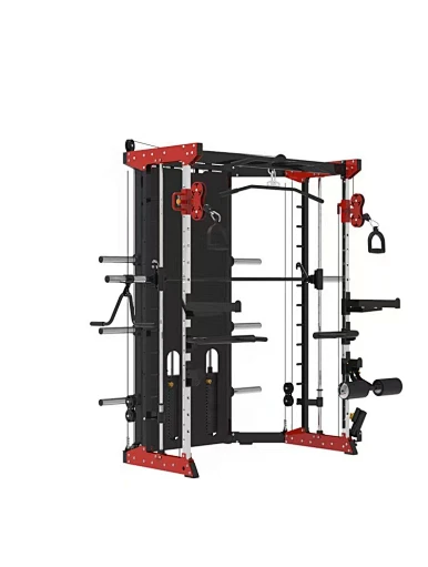 Multifunctional Smith Machine