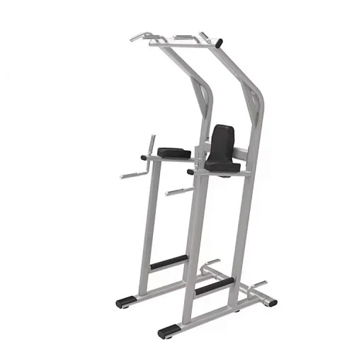 Chin Dip Leg Raise