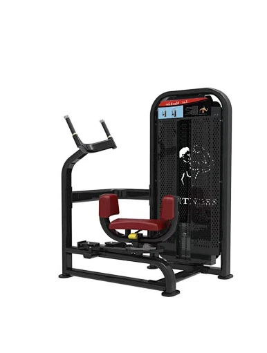 Rotary Rorso Machine