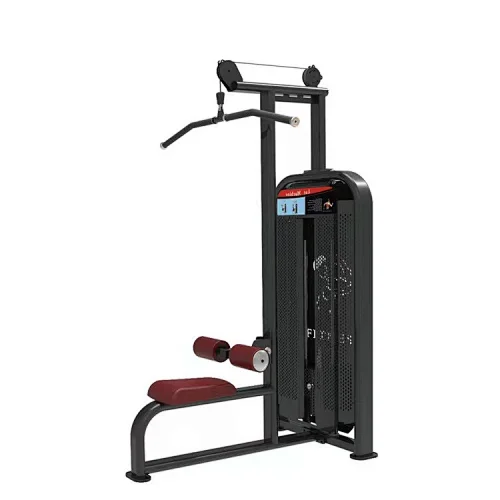 Lat Pull Down