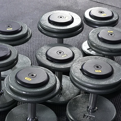 Fixed Painted Dumbbell