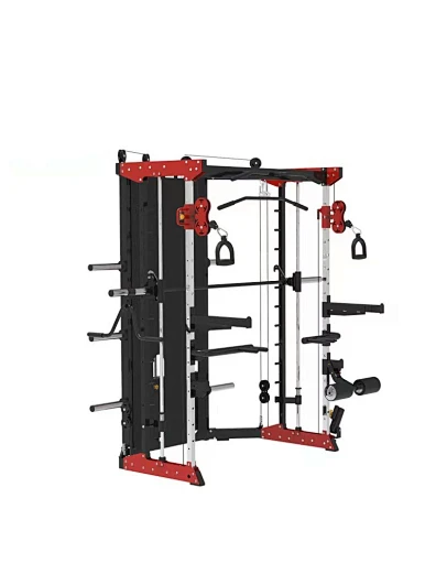 Multifunctional Smith Machine
