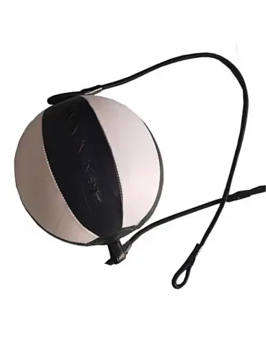 Round Boxing Speed Ball | Union Max Fitness