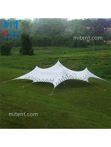 10m x 10m Flexible Stretch Tent Cheese Tent for Outdoor Wedding Party Events