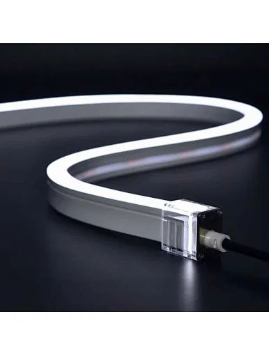 Silicone Neon