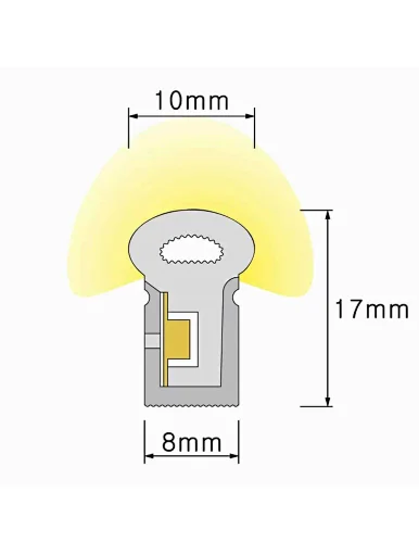 LED Neon light