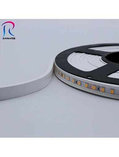 LED Neon strip light