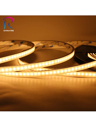 LED Neon light4