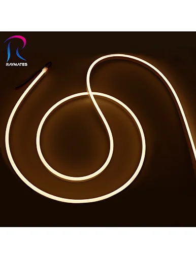 LED Neon light4