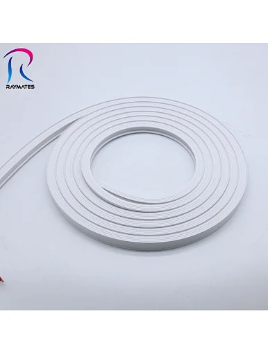 Flex LED Neon light