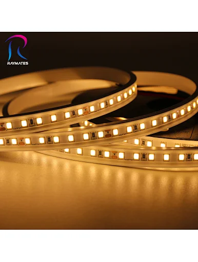 LED Neon strip light