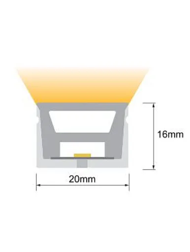 Silicone neon light