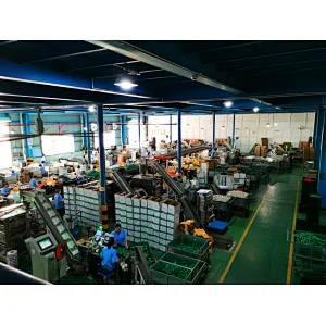 PVC 15° BEND M/F