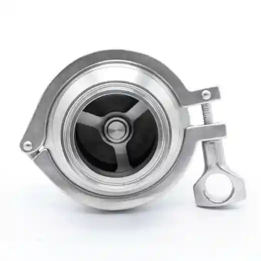 Sanitary Stainless Steel Clamped Check Valve