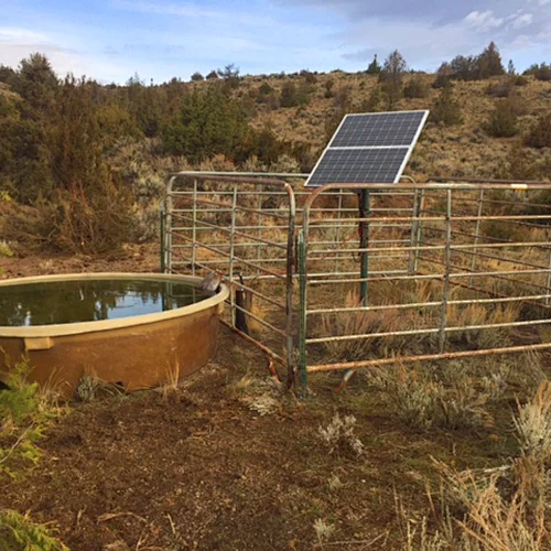 solar powered pump