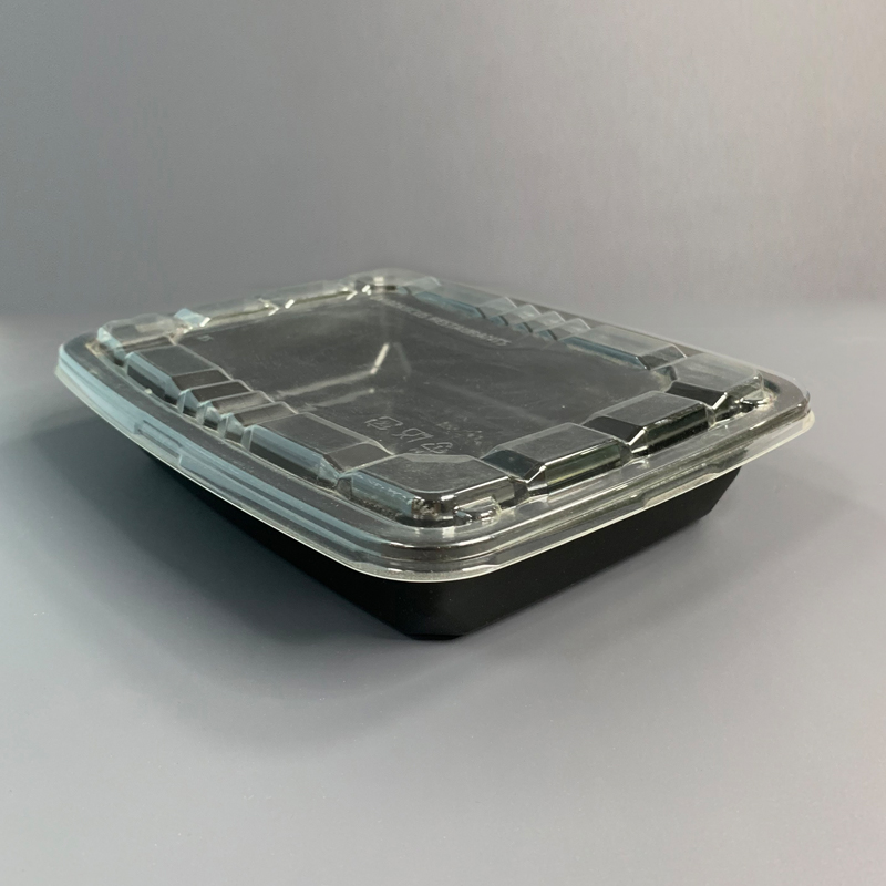 PP Plastic Sushi Box with Clear PET Lid    