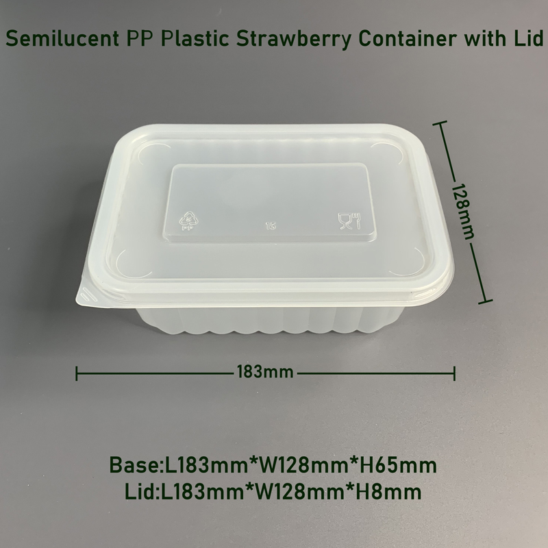 Semilucent PP Plastic Strawberry Container with Lid