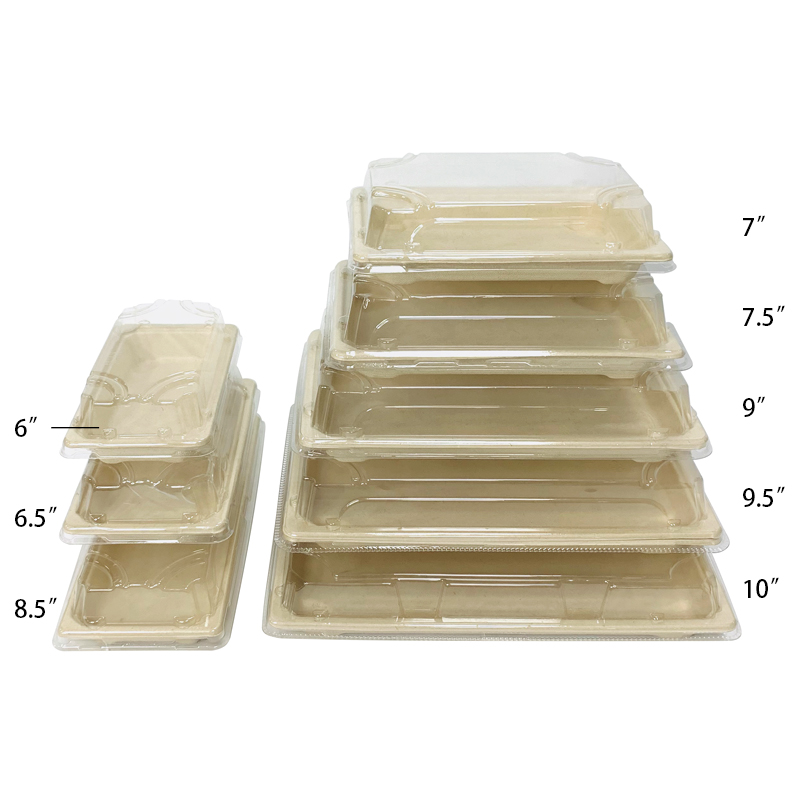 Various Size Bagasse Sushi Tray with Lid