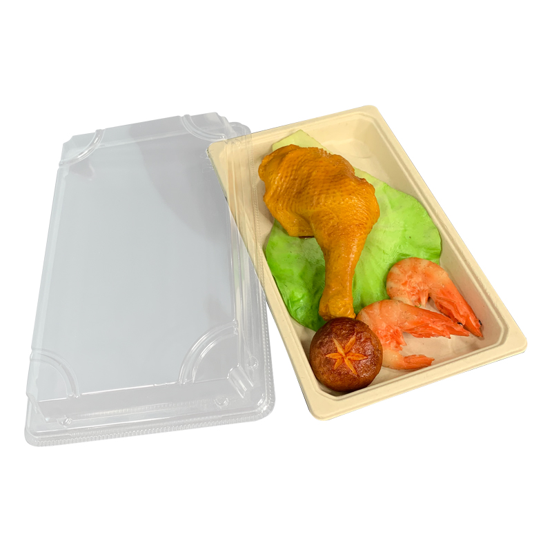 Disposable Bagasse Sushi Tray with Lid