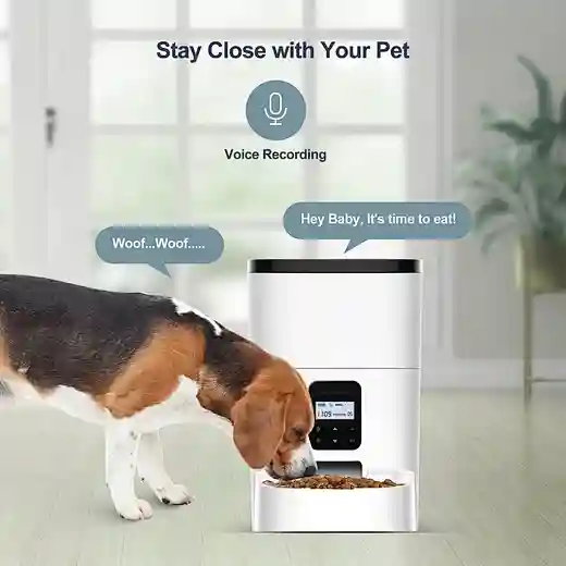 Petdiary Automatic Dog & Cat Feeder, White, Medium