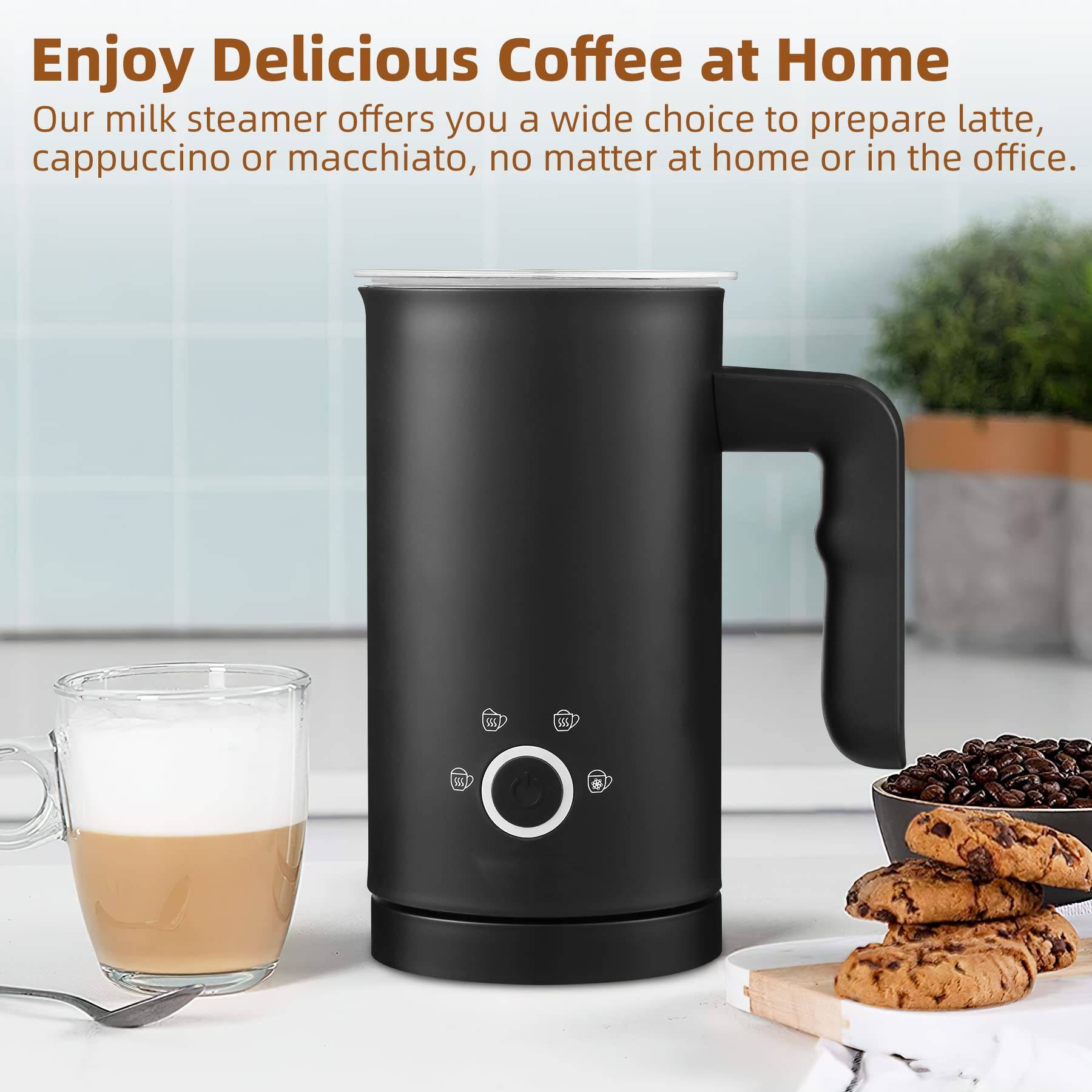 4 in 1 Milk Steamer