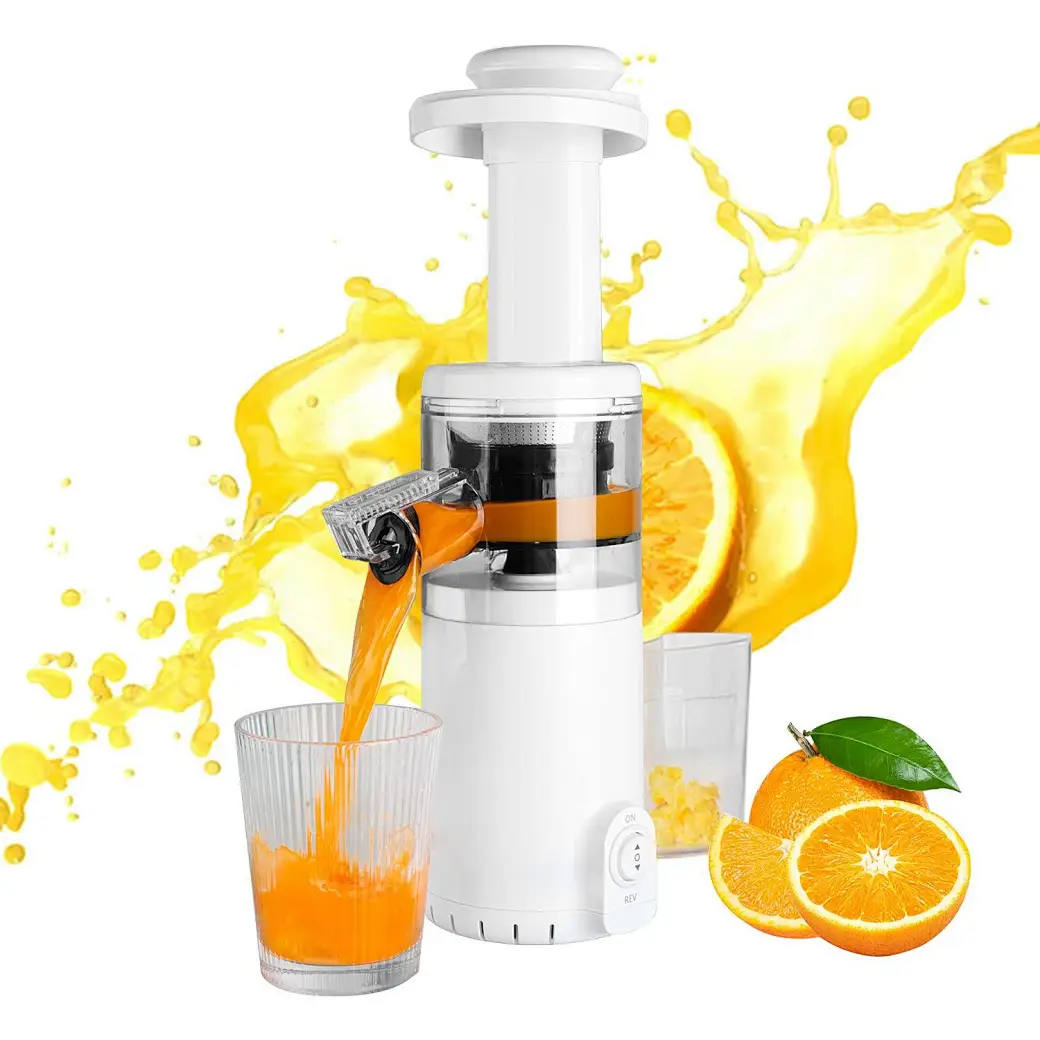 Masticating Slow Juicer