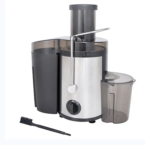portable juicer extractor