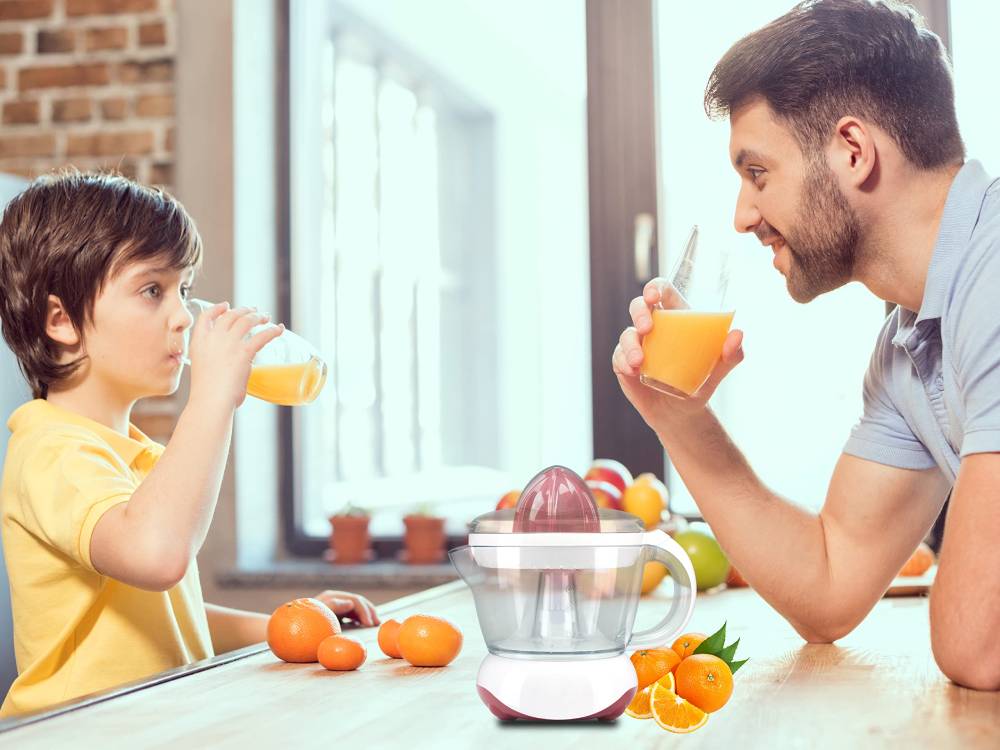 squeezer juicer citrus juicer lemon machine