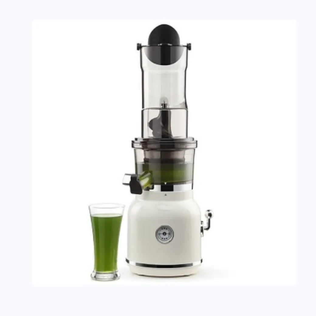 150W Professional electric slow juicer