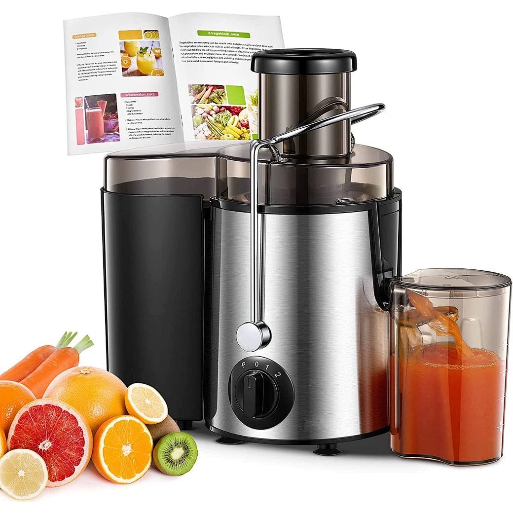 portable juicer extractor