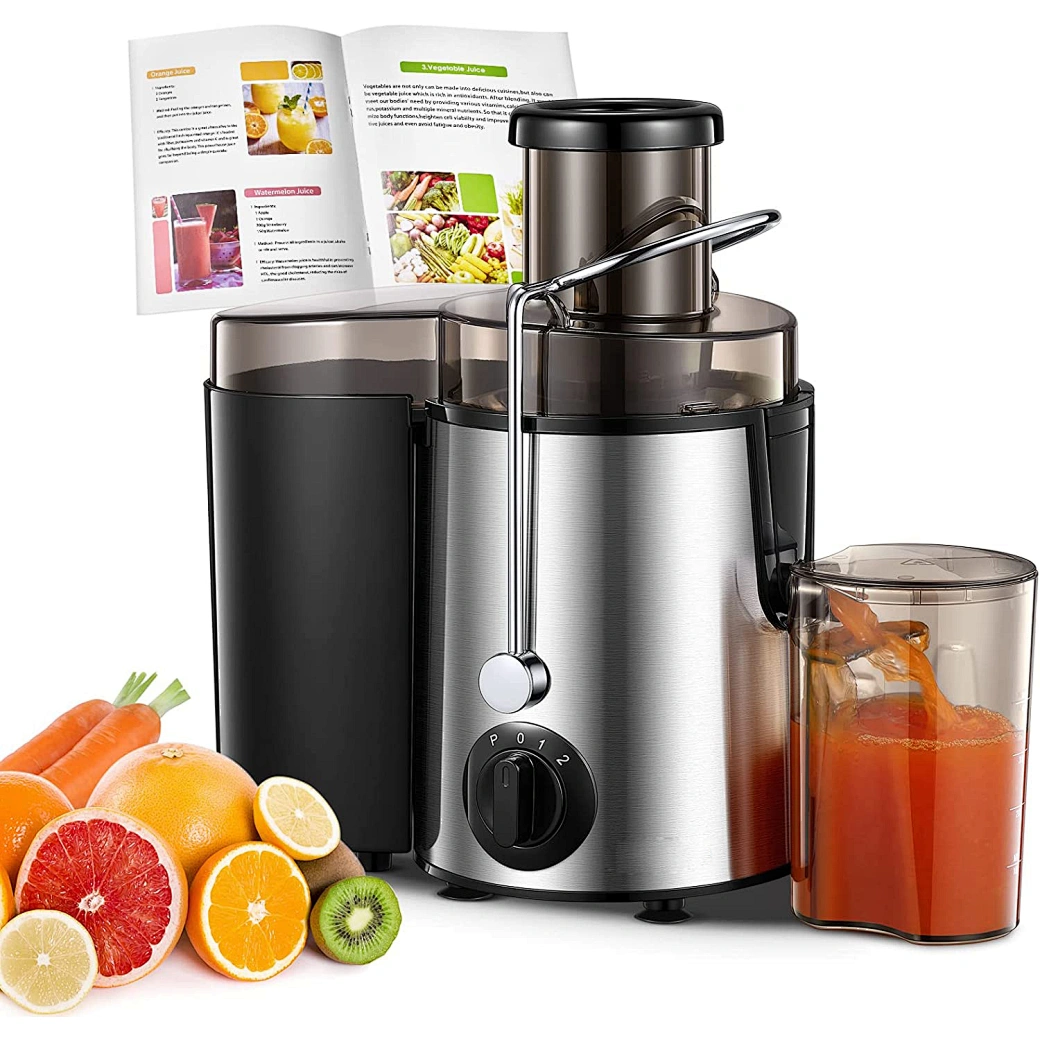 portable juicer extractor