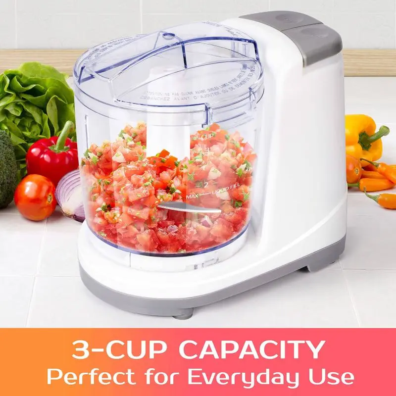 Mini Food Chopper