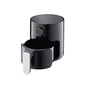 air fryer 2 quart