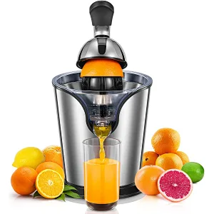 hand press juicer