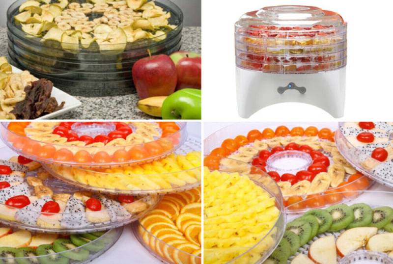 fruit dehydrator