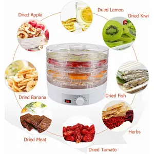best home dehydrator