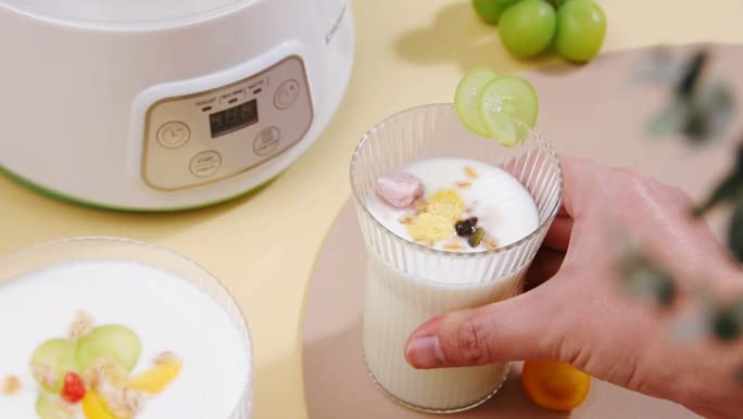 Homemade Frozen Yogurt Machine